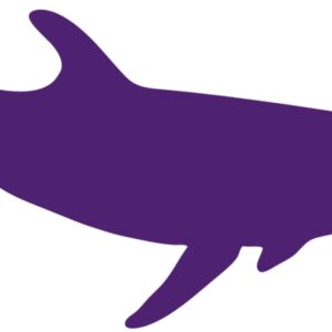 AR DOLPIN 12 RC Thumbnail