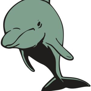 AR DOLPIN 11 RC Thumbnail