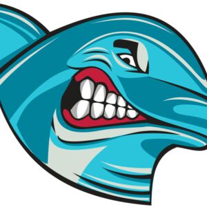 DOLPHIN HD0504 RQC Thumbnail