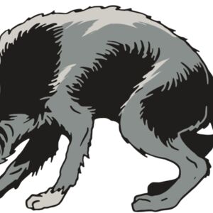 AR32 COYOTE 05 RQC Thumbnail