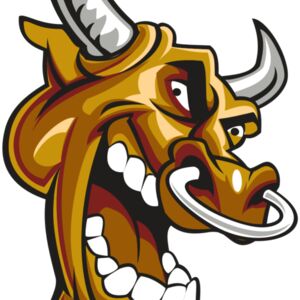 BULL HD0504 RQC Thumbnail