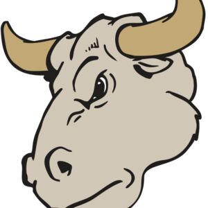 AR BULL 25 RC Thumbnail