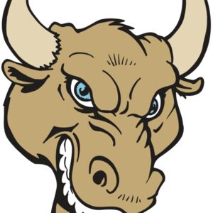 AR5 BULL 13 RQC Thumbnail