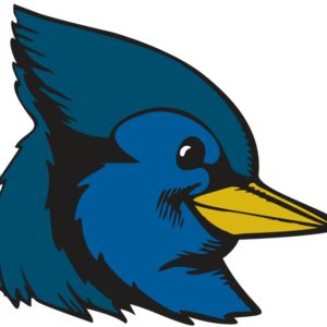 BAW BLUEJAY 07 RC Thumbnail