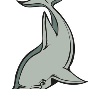 BAW DOLPHIN 01 RC Thumbnail