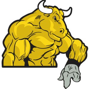 AR BULL 13 RC Thumbnail