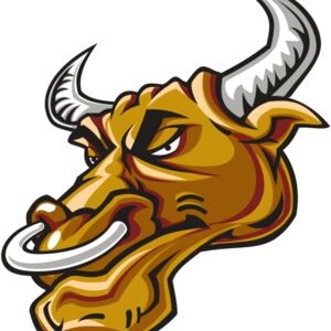 BULL HD0502 RQC Thumbnail