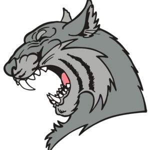 AR WILDCAT 41 RC Thumbnail