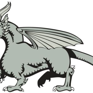 BAW DRAGON 20 RC Thumbnail