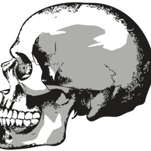 AR24 SKULL 02 RQC Thumbnail