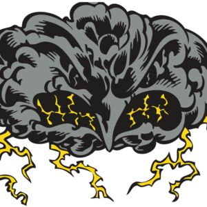 BAW STORM 11 RC Thumbnail