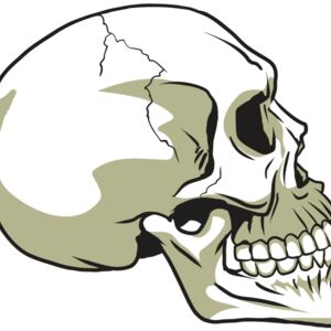 AR24 SKULL 12 RQC Thumbnail