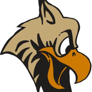 AR5 Owl 11 RQC Thumbnail