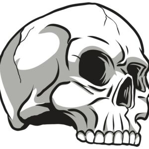 AR24 SKULL 10 RQC Thumbnail