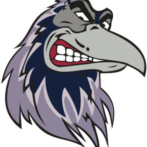 RAVEN HD0504 RQC Thumbnail