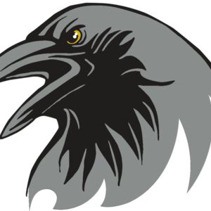 AR31 RAVEN 02 RQC Thumbnail