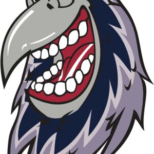 RAVEN HD0503 RQC Thumbnail