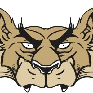 AR5 Wolf 28 RQC Thumbnail