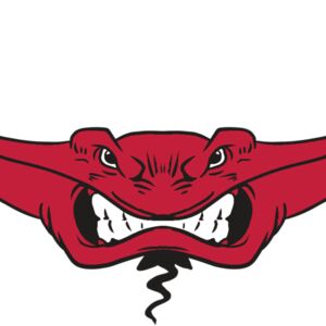 AR19 STINGRAY 03 RQC Thumbnail