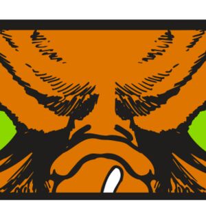 AR5 Owl 14 RQC Thumbnail