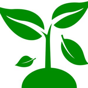 48 Plant Thumbnail
