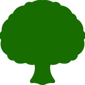 Tree Plant 4 Thumbnail