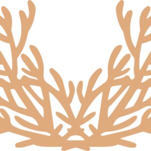 Sea Plants Thumbnail