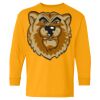 Heavy Cotton Youth Long Sleeve T-Shirt. Thumbnail