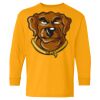 Heavy Cotton Youth Long Sleeve T-Shirt. Thumbnail