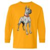 Heavy Cotton Youth Long Sleeve T-Shirt. Thumbnail