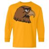 Heavy Cotton Youth Long Sleeve T-Shirt. Thumbnail
