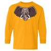 Heavy Cotton Youth Long Sleeve T-Shirt. Thumbnail