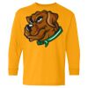 Heavy Cotton Youth Long Sleeve T-Shirt. Thumbnail