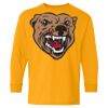 Heavy Cotton Youth Long Sleeve T-Shirt. Thumbnail