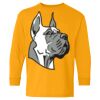 Heavy Cotton Youth Long Sleeve T-Shirt. Thumbnail