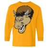 Heavy Cotton Youth Long Sleeve T-Shirt. Thumbnail