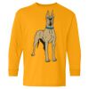 Heavy Cotton Youth Long Sleeve T-Shirt. Thumbnail