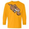 Heavy Cotton Youth Long Sleeve T-Shirt. Thumbnail