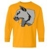 Heavy Cotton Youth Long Sleeve T-Shirt. Thumbnail
