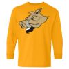 Heavy Cotton Youth Long Sleeve T-Shirt. Thumbnail