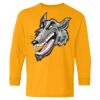 Heavy Cotton Youth Long Sleeve T-Shirt. Thumbnail