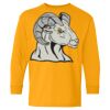Heavy Cotton Youth Long Sleeve T-Shirt. Thumbnail