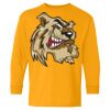 Heavy Cotton Youth Long Sleeve T-Shirt. Thumbnail