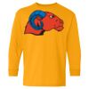 Heavy Cotton Youth Long Sleeve T-Shirt. Thumbnail