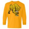 Heavy Cotton Youth Long Sleeve T-Shirt. Thumbnail