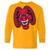Heavy Cotton Youth Long Sleeve T-Shirt. Thumbnail
