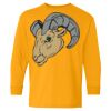 Heavy Cotton Youth Long Sleeve T-Shirt. Thumbnail