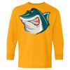 Heavy Cotton Youth Long Sleeve T-Shirt. Thumbnail