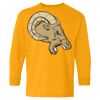 Heavy Cotton Youth Long Sleeve T-Shirt. Thumbnail