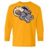 Heavy Cotton Youth Long Sleeve T-Shirt. Thumbnail